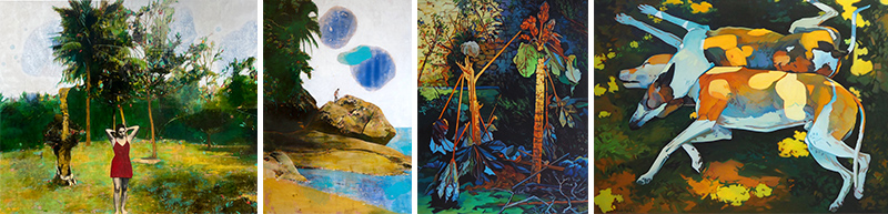 montage photo nature et decouvertes