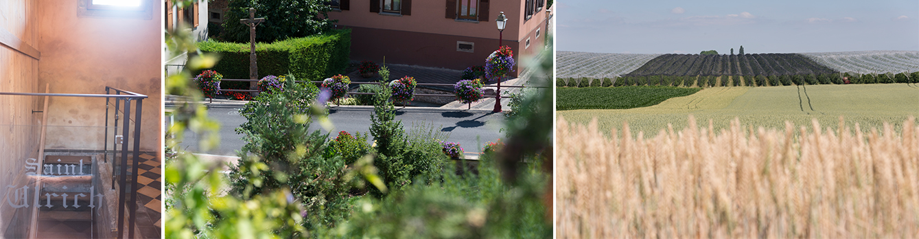 montage photos avenheim 04 montage photos avenheim 04