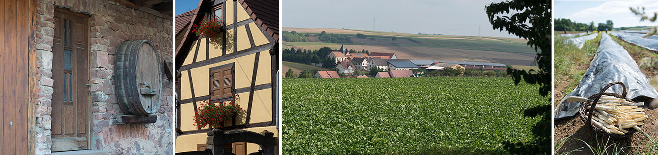 montage photos woellenheim 02 montage photos woellenheim 02